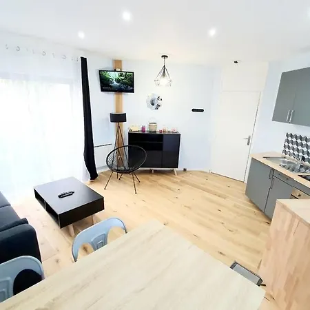 Logement Lumineux Et Cosy De 39m2 Au Centre De Apartment *